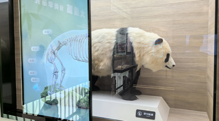 张龙翔5.jpg