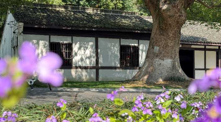 1775626476231604.jpg IMG\_0004.jpg