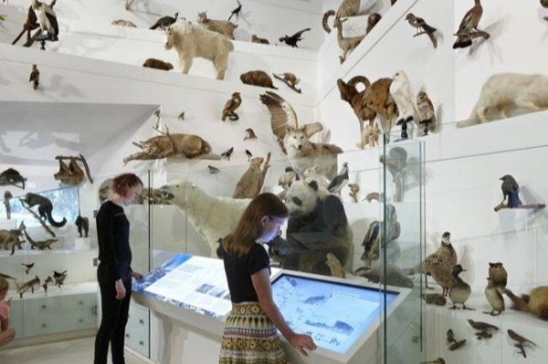 展厅建设公司职业学院智慧党建馆效果图设计图